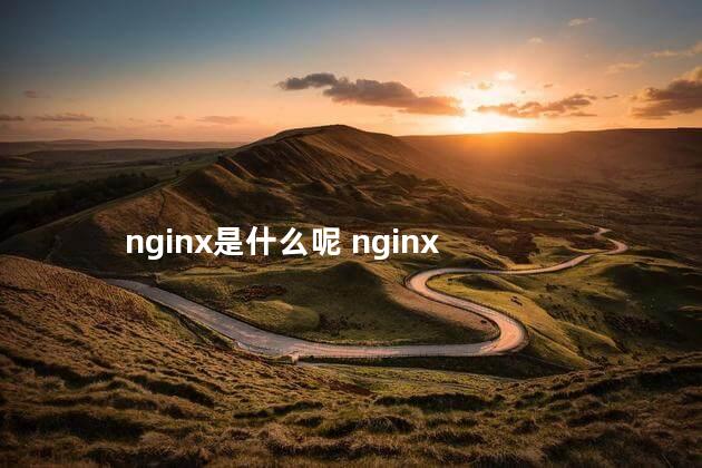 nginx是什么呢 nginx